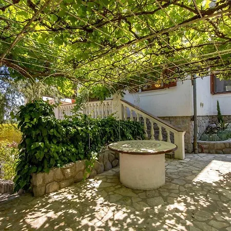 The Nest Опатія